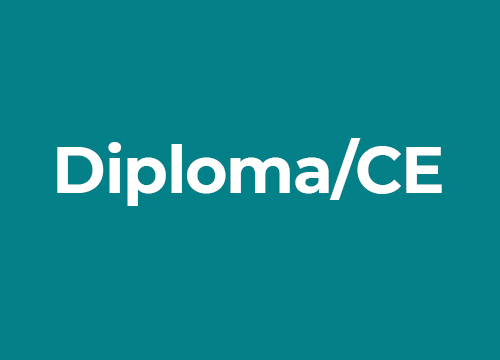 Diploma/CE Training