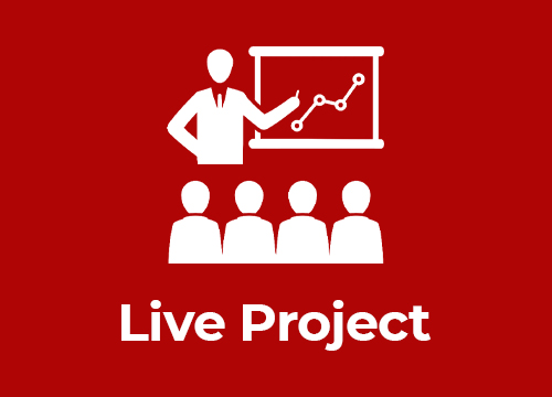 Live Project Training